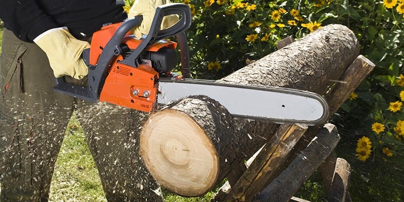Chainsaw cutting wood