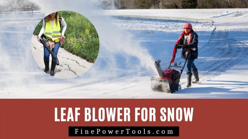 Leaf Blower for Snow