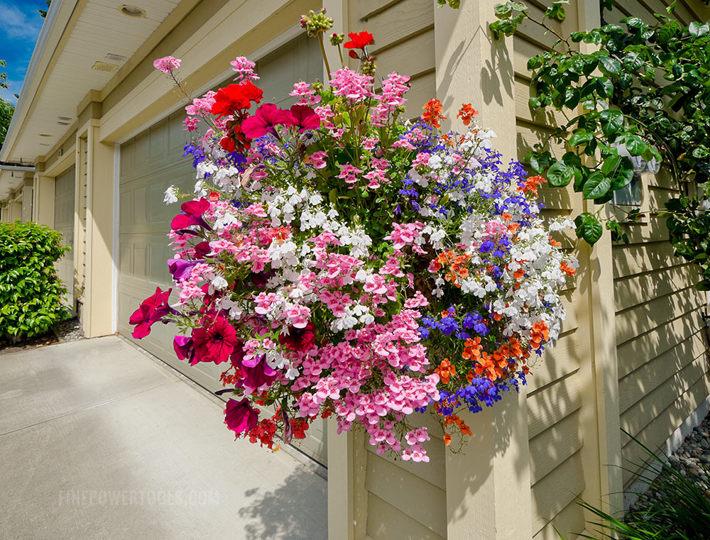 Plant hanger on Hardie board siding