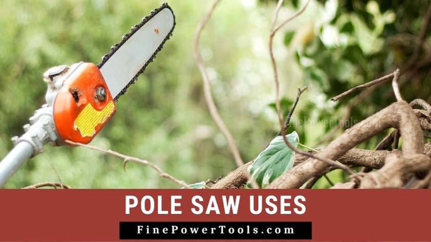 Pole Saw Uses